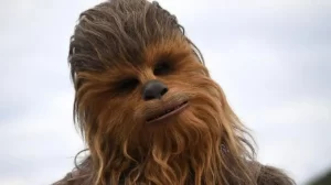 Migrantes disfrazados de Chewbacca 1