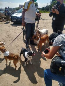 Centro de control canino Toluca