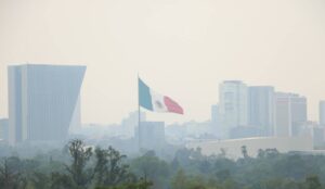 TOP 5 problemas ambientales de México