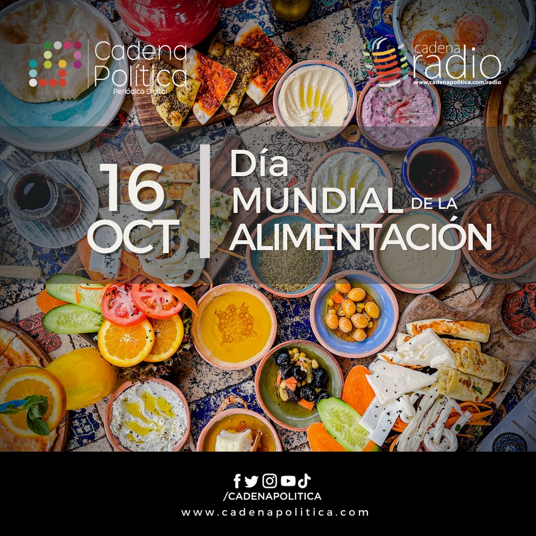 Alimentación