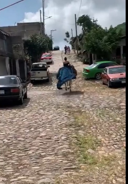 quinceañera caballo desbocado viral