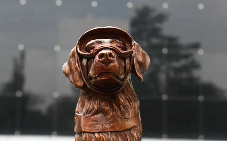 Estatua perrita Frida CDMX