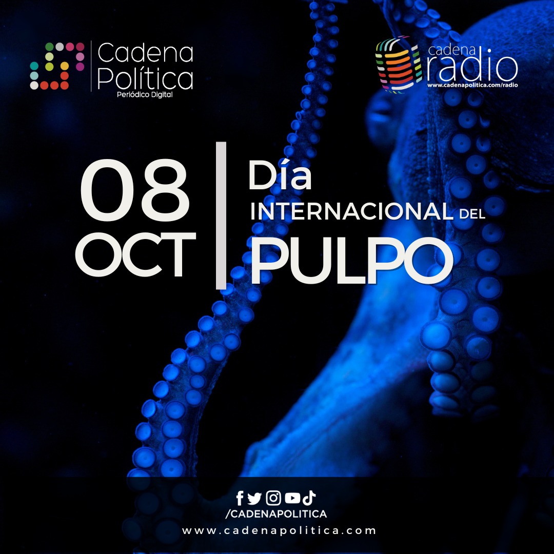 Pulpo