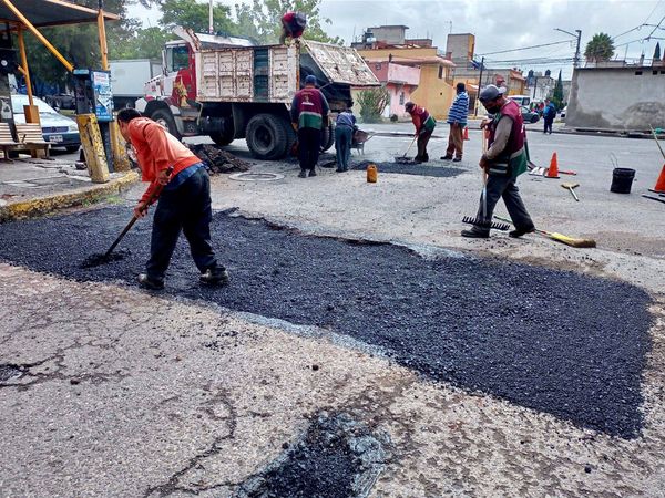 bacheo neza