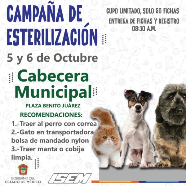 esterilizacón