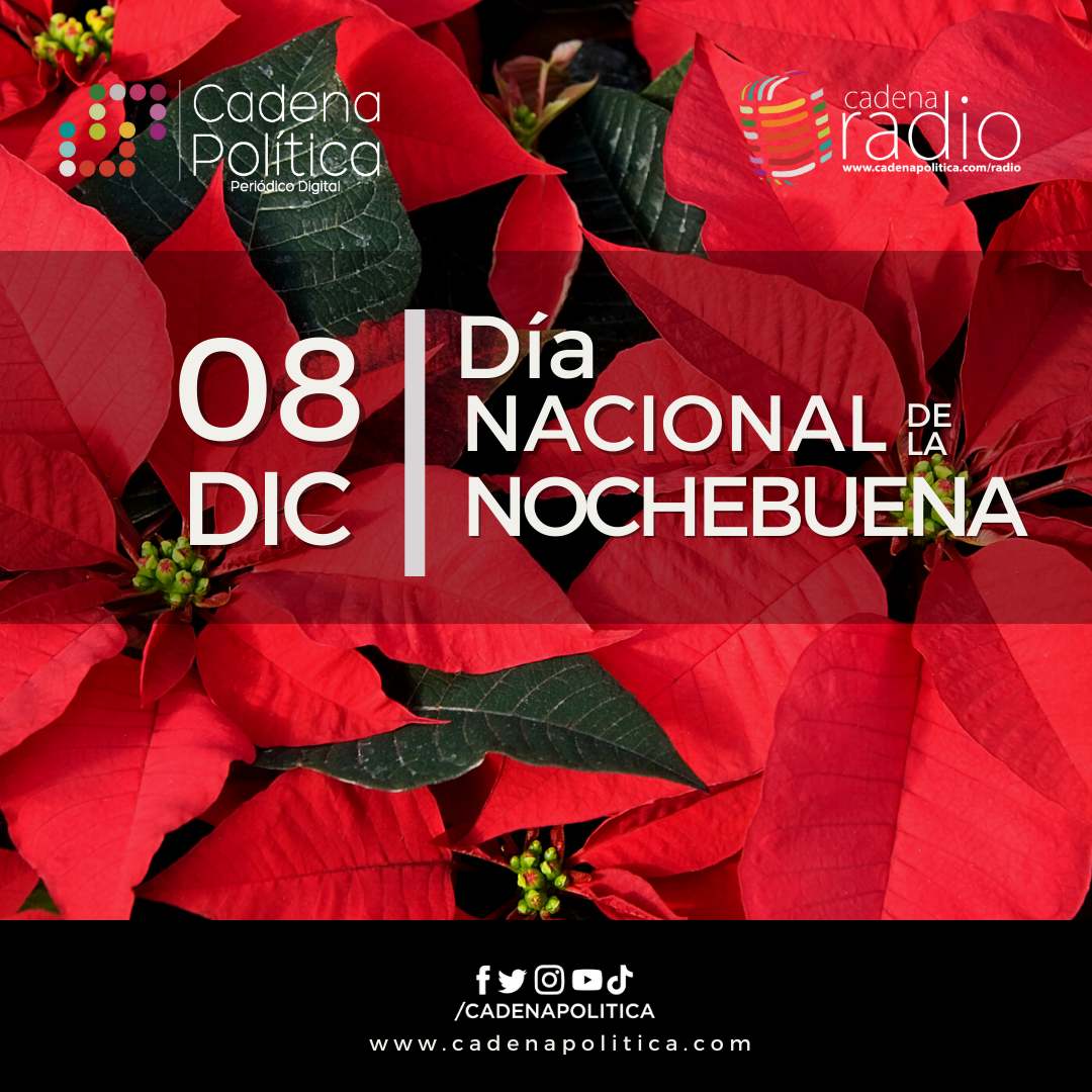 Día Nacional de la Nochebuena: ¿Por qué se celebra?