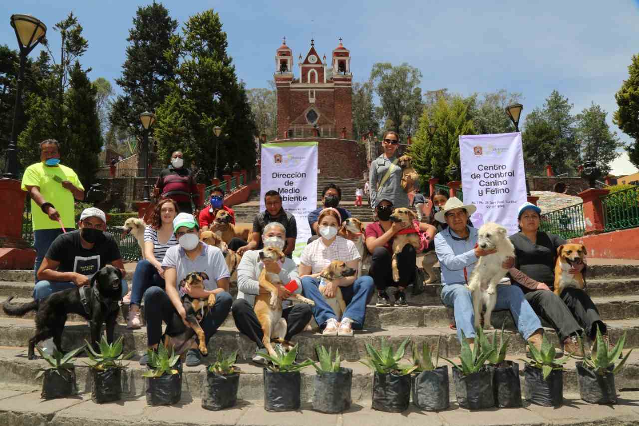 Metepec