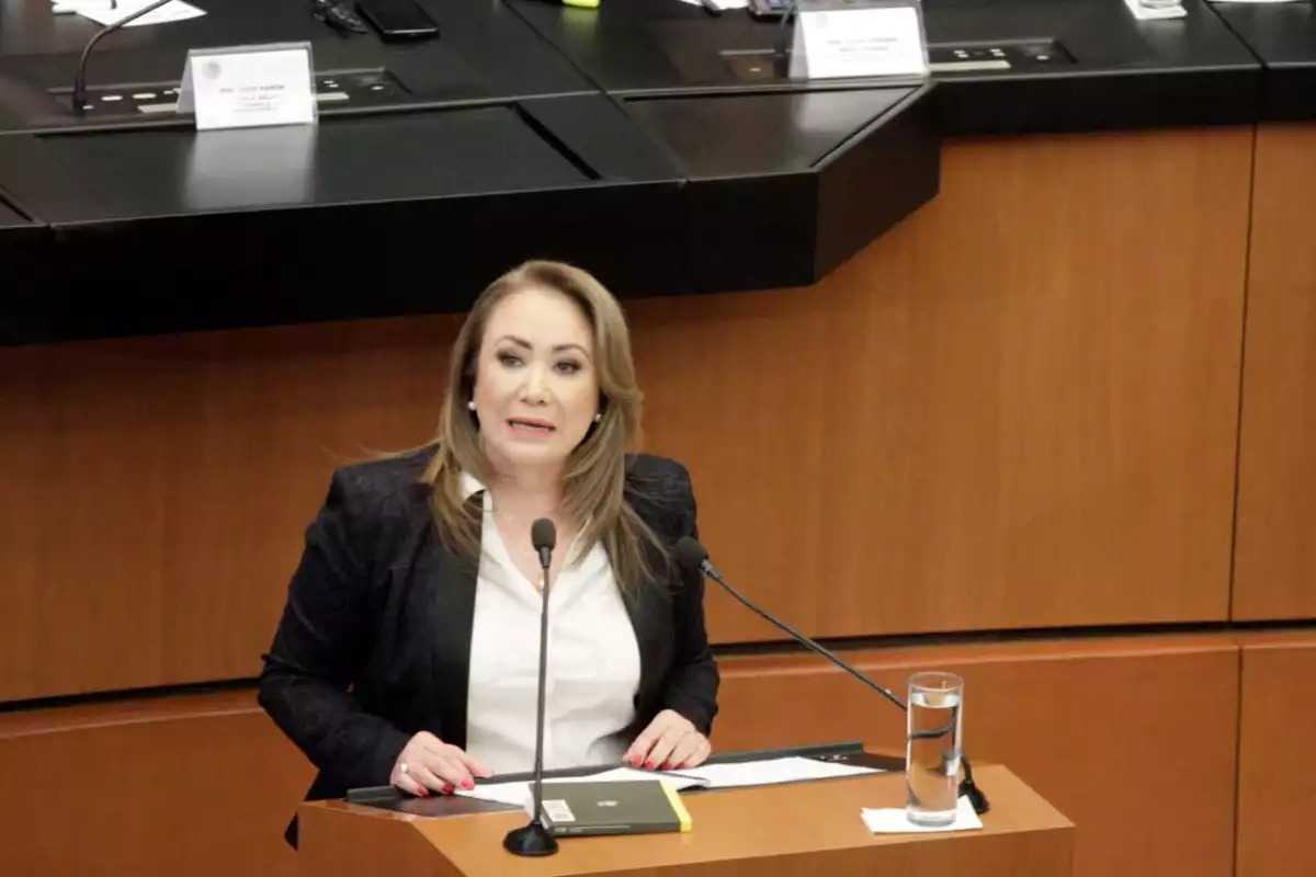 Ministra Yasmin esquivel plagio de tesis