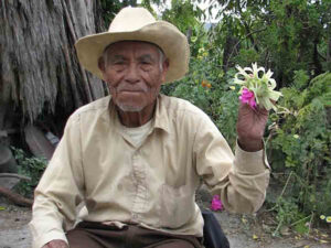 Mixteco