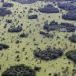 Amazonía está en un punto irreversible