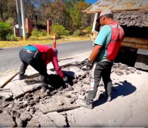 Bacheo