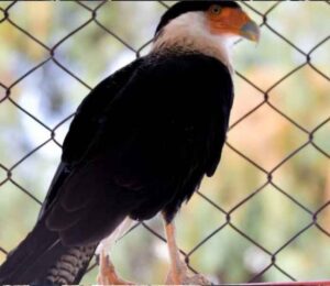 Proyecto nuevo - 2023-01-04T122442.445