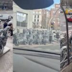 Video.- Dinosaurios invaden las calles de Madrid