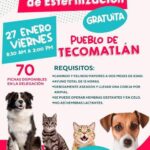 1ra. jornada de esterilización gratuita en Tenancingo