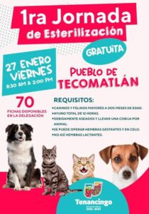 jornada esterilizacion