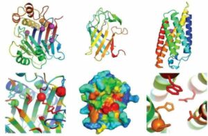proteinas