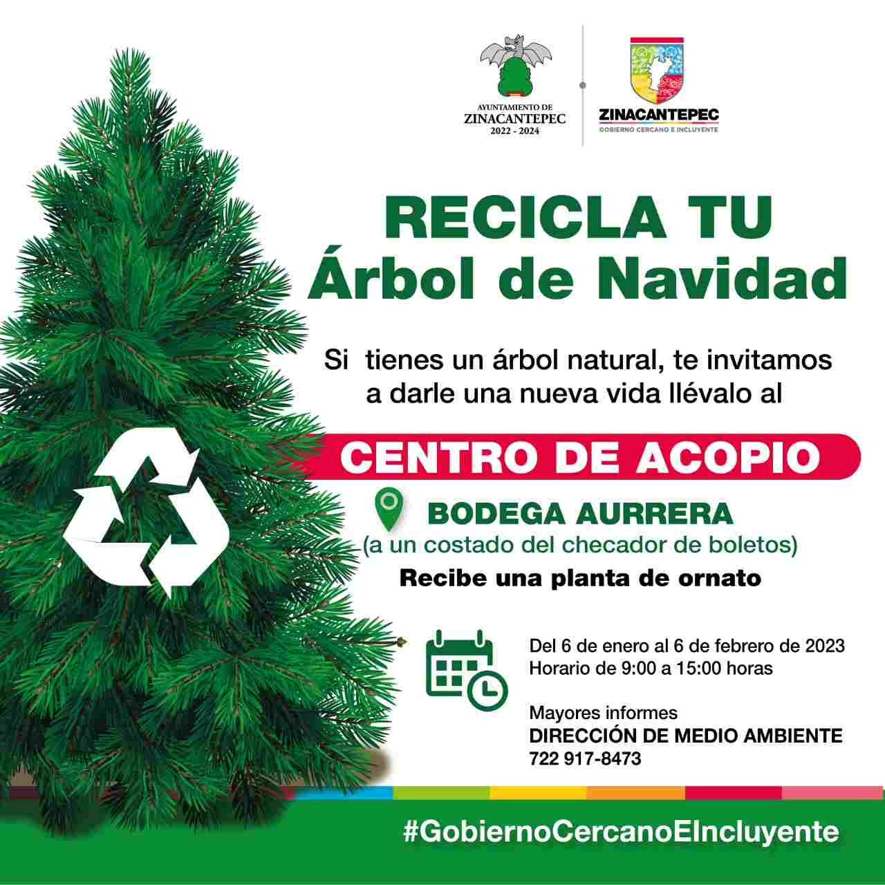 Zinacantepec anuncia Campaña de Reciclaje de Árboles de Navidad - Cadena  Politica