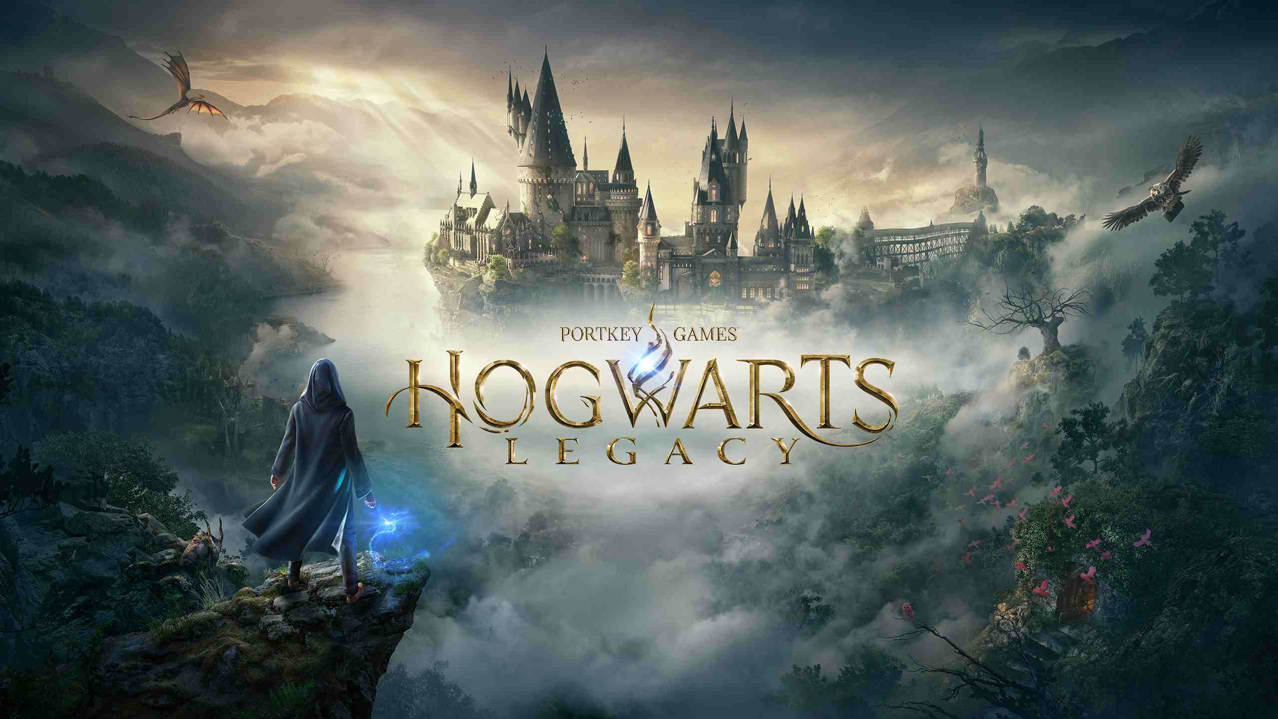 Hogwarts Legacy Harry Potter