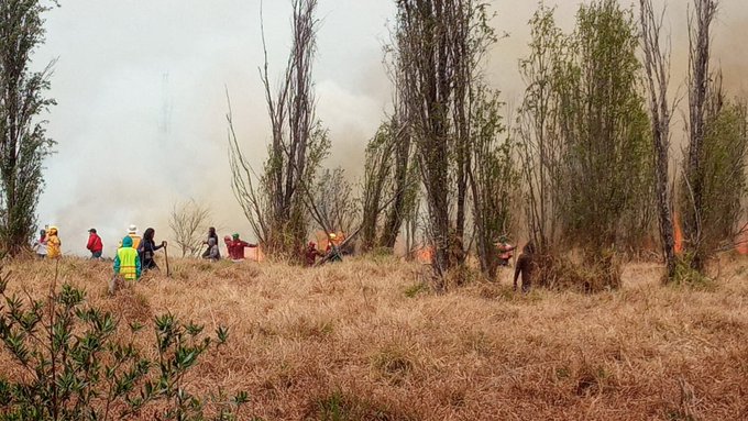 Incendio Parque Ecológico Xochimilco