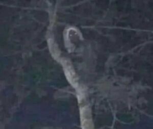 Proyecto nuevo - 2023-02-26T115225.174