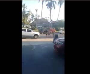 WhatsApp Image 2023-02-19 at 9.24.27 PM