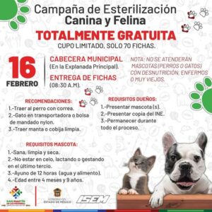 esterilizacion snp