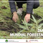 Coatepec Harinas festeja Día Mundial Forestal