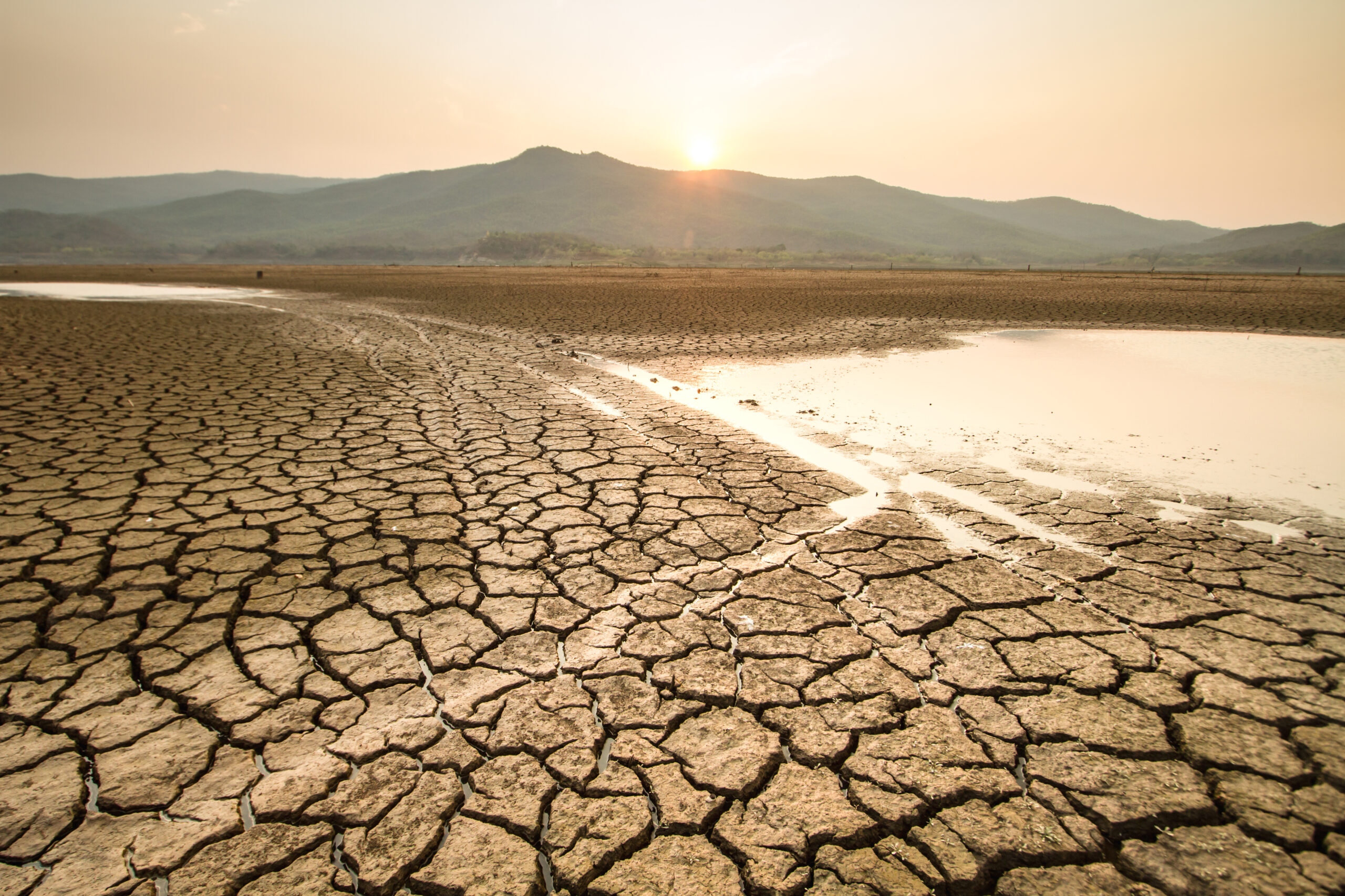 agua Día Cero