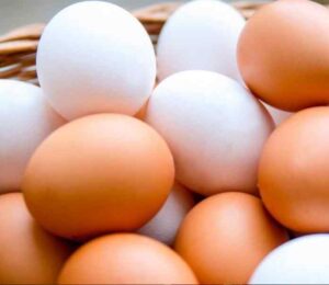 Proyecto nuevo - 2023-03-09T114228.469