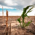 Sequía en México empeora y afecta a gran parte del territorio nacional