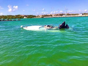 WhatsApp Image 2023-03-26 at 11.43.54 AM