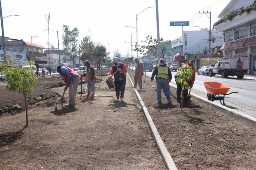 Recuperación y mantenimiento de áreas verdes en Nezahualcóyotl - Cadena  Politica