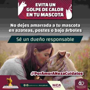 342873612_2136543366536489_2703613738604602694_n-compressed