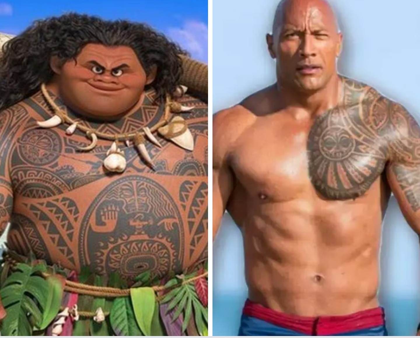 Moana Dwayne Johnson