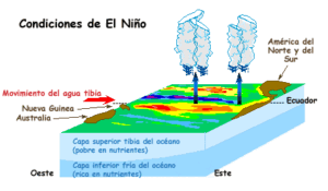 El Niño