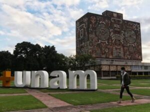 images (2) (5)