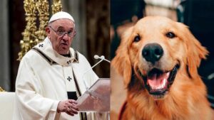 2022010815153698124-compressed