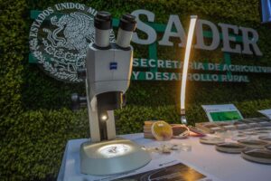 230511 AGRICULTURA SENASICA DÍA INTERNACIONAL DE LA SANIDAD VEGETAL 1-8 (1)