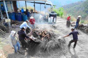 347271286_680933510464227_8231637351301609717_n-compressed(1)