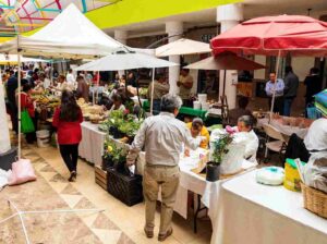 350646359_822194925991092_4452682061108489905_n-compressed