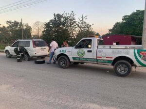 Ángeles Verdes (2)-compressed