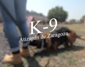 Captura de Pantalla 2023-05-17 a la(s) 13.42.38