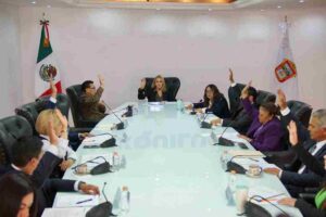 Comunicado de Prensa No-compressed (11)