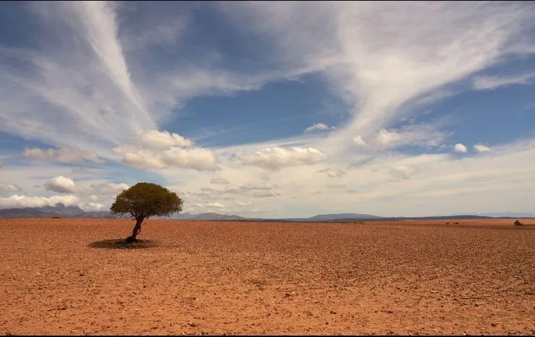 "El Niño"