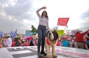 WhatsApp Image 2023-05-03 at 6.43.06 PM