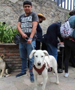 WhatsApp Image 2023-05-22 at 12-compressed