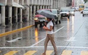 WhatsApp Image 2023-05-25 at 4.28.58 PM