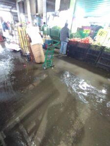 received_207229392130647 (1)