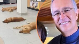 2OFCRNCPQRHQZBT7ZZV6IRE4WA