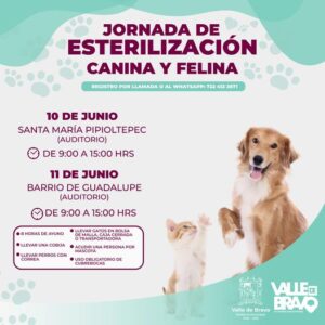 352190186_261493213124800_811324857912584883_n